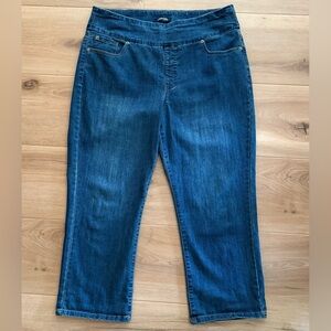 Chadwicks Cropped Jeans Size 16T